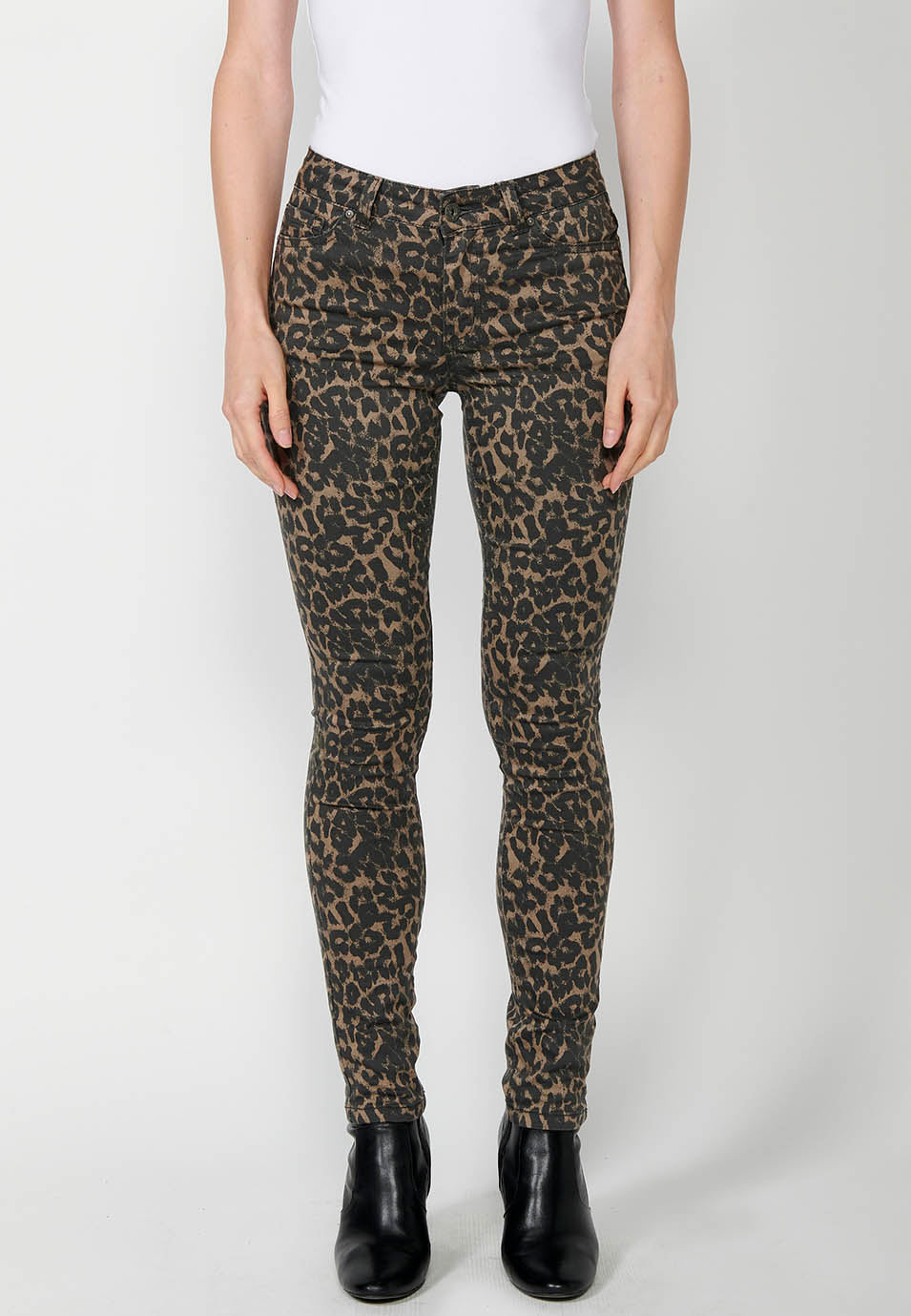 2422PT41-000003-2422PT41_000003_2