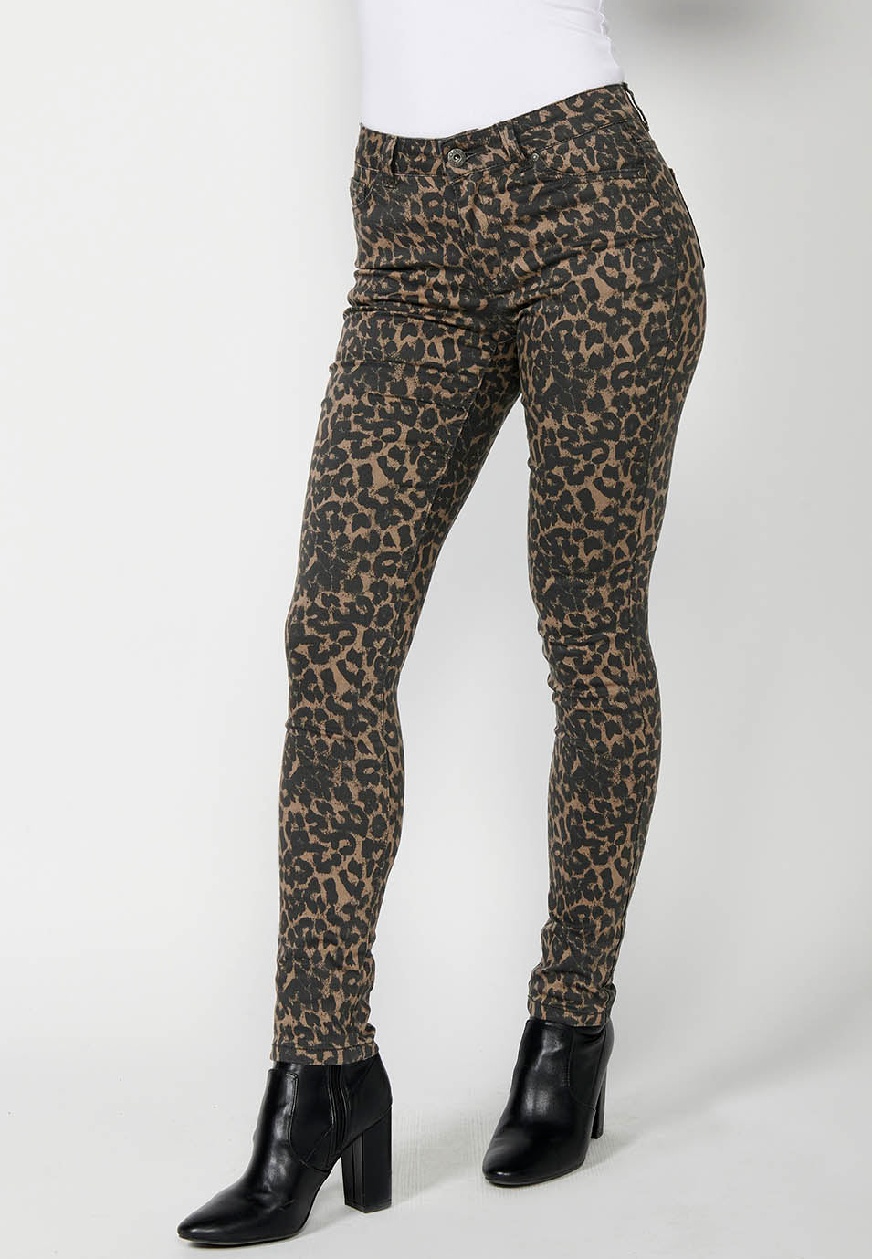 2422PT41-000003-2422PT41_000003_4