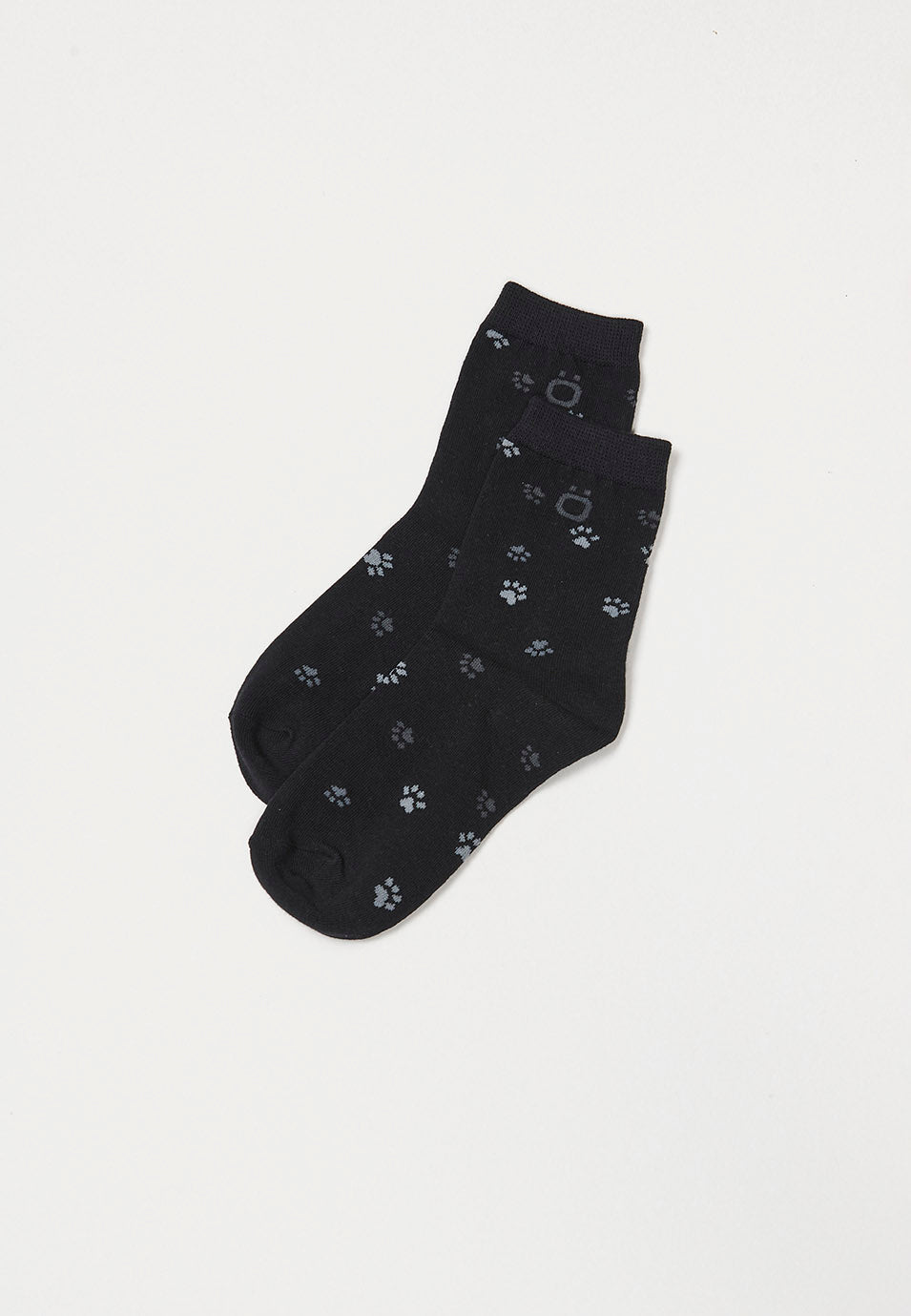 2422ZT01-000323-2422ZT01_000323_4