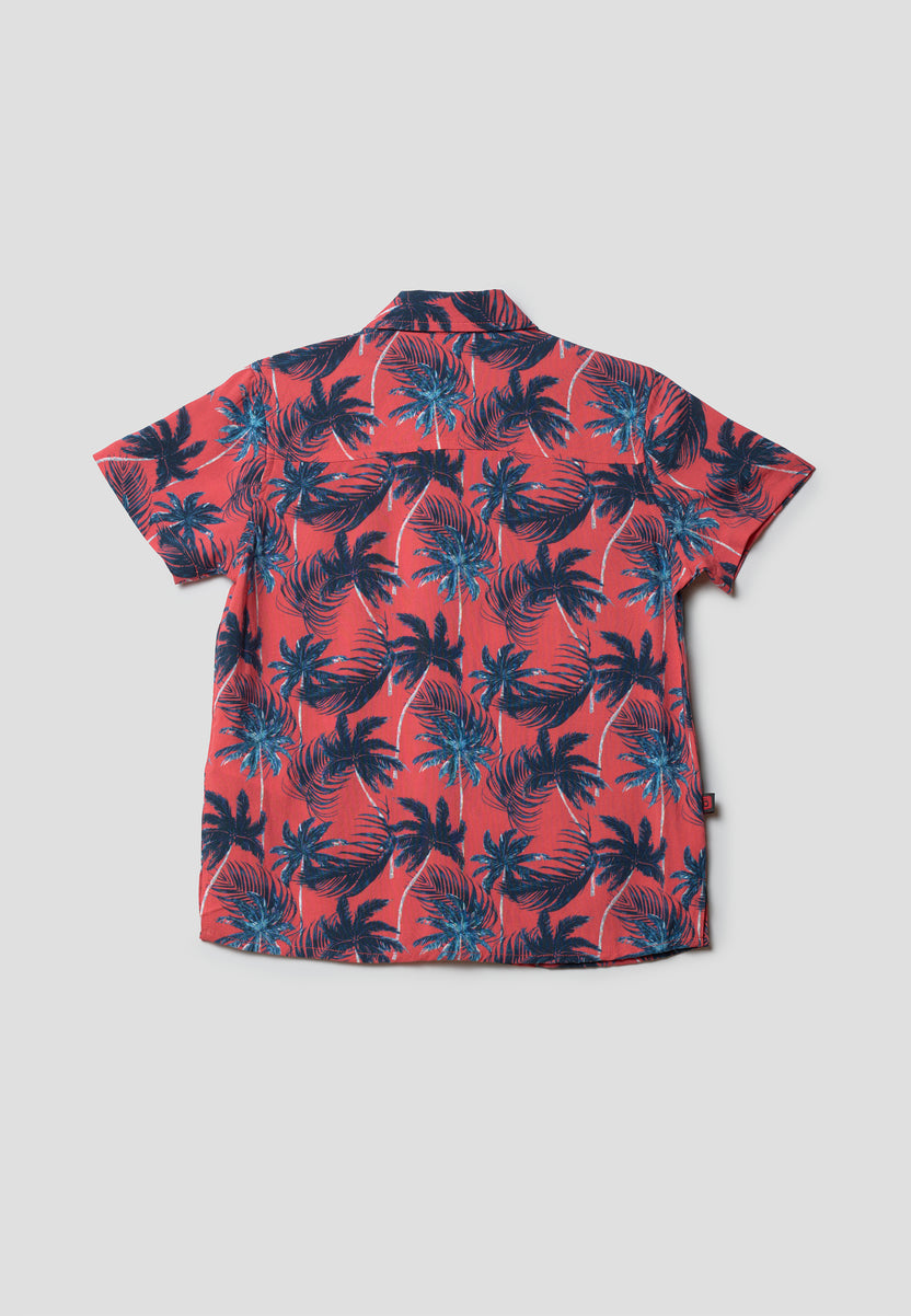 2614CC05-000084-2614CC05_000084_3