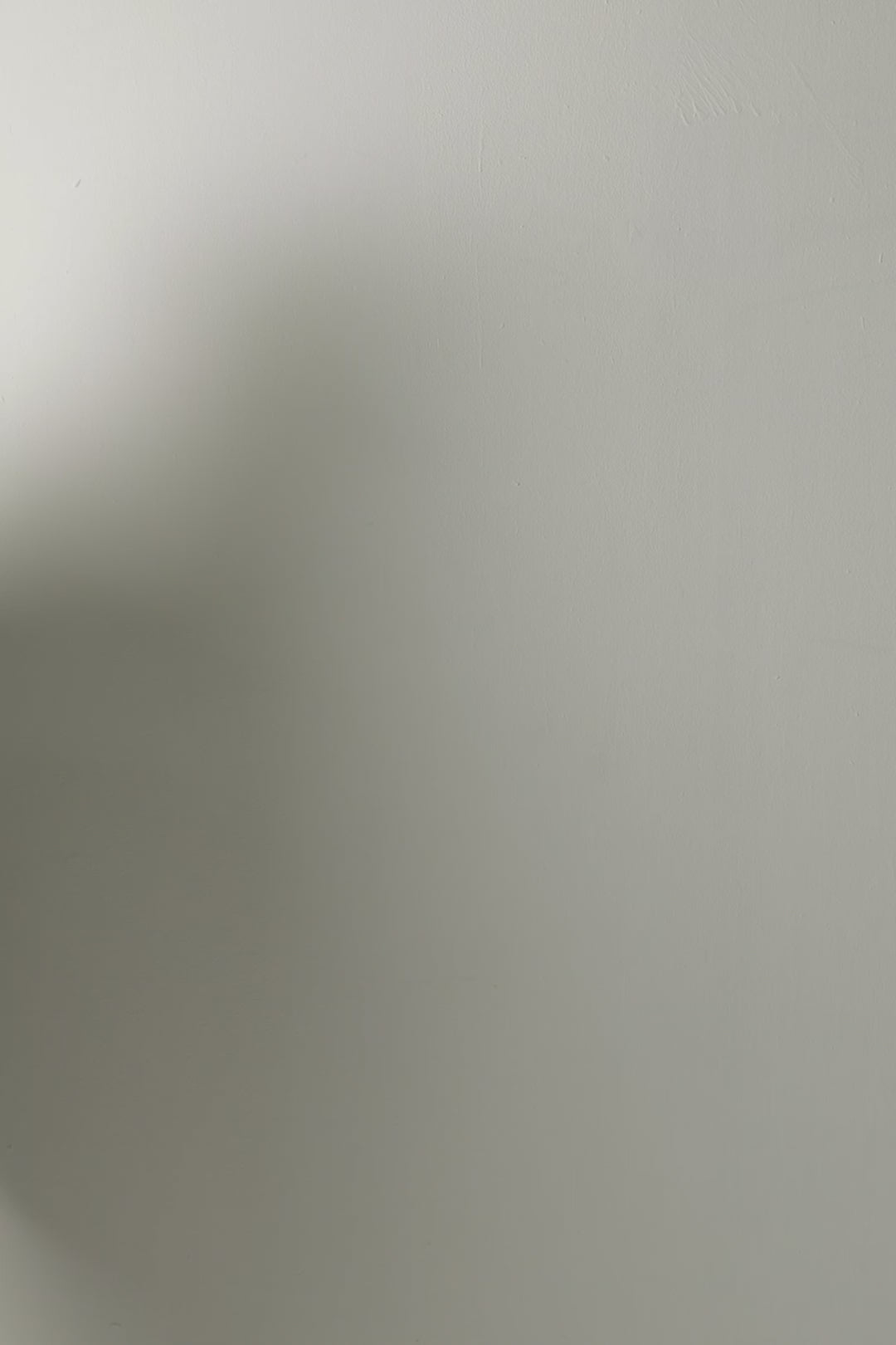 2621JA57_000010_14.mp4