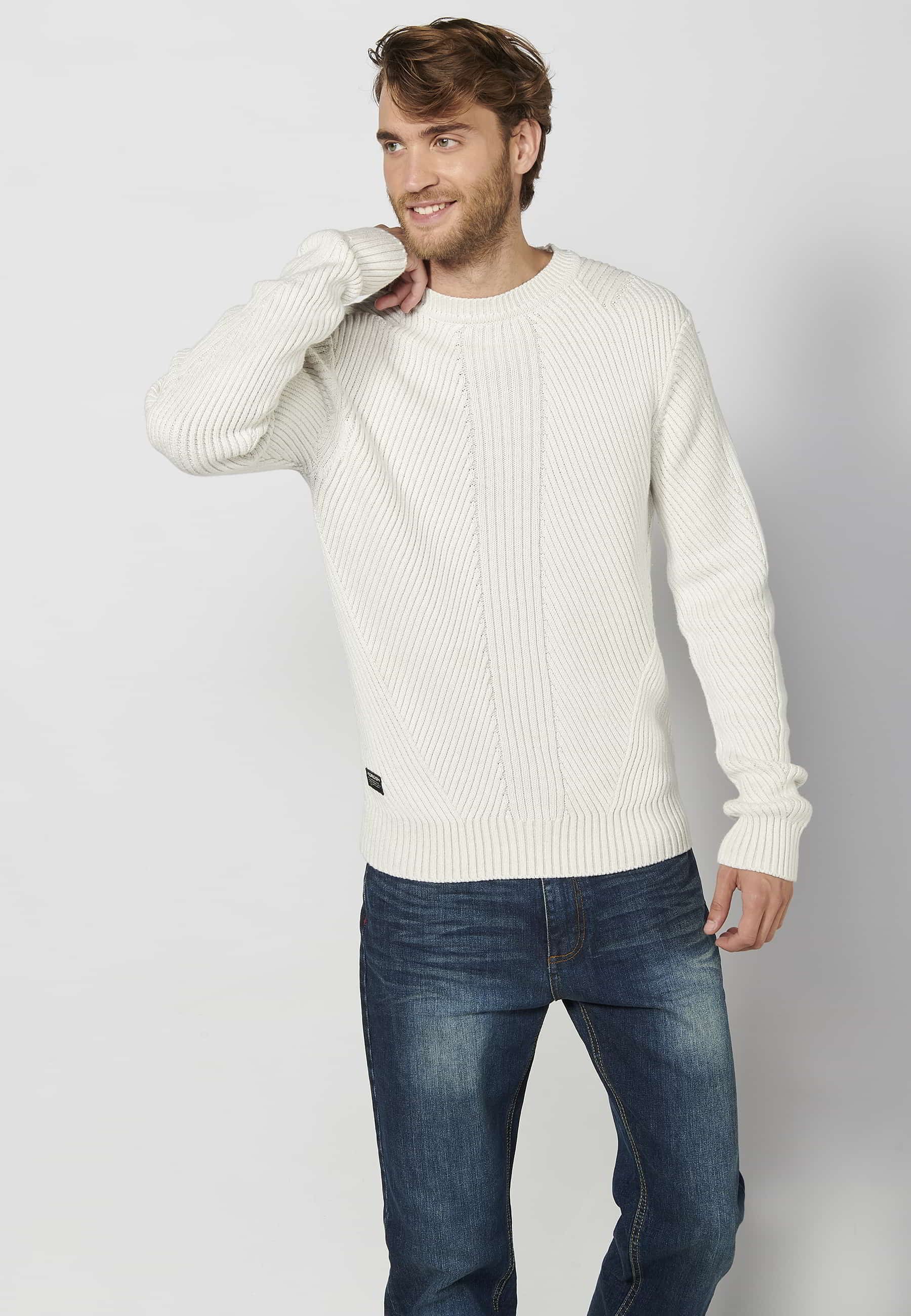 Pull tricoté homme écru col rond manches longues