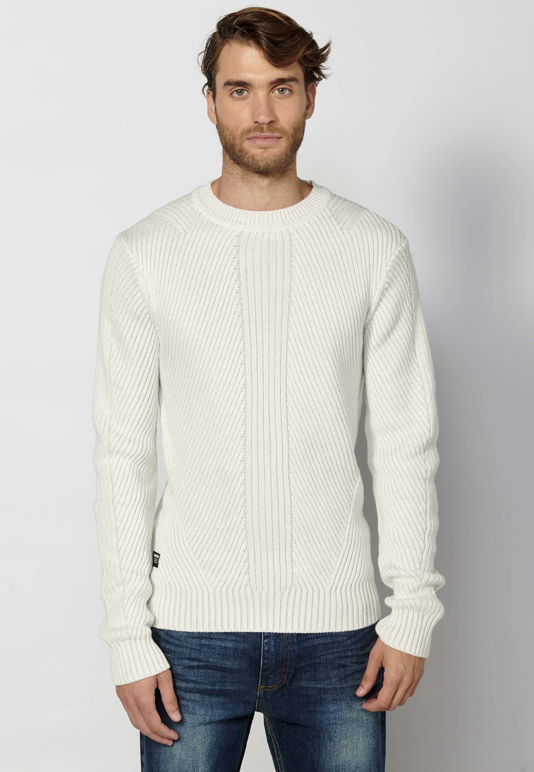 Pull tricoté homme écru col rond manches longues