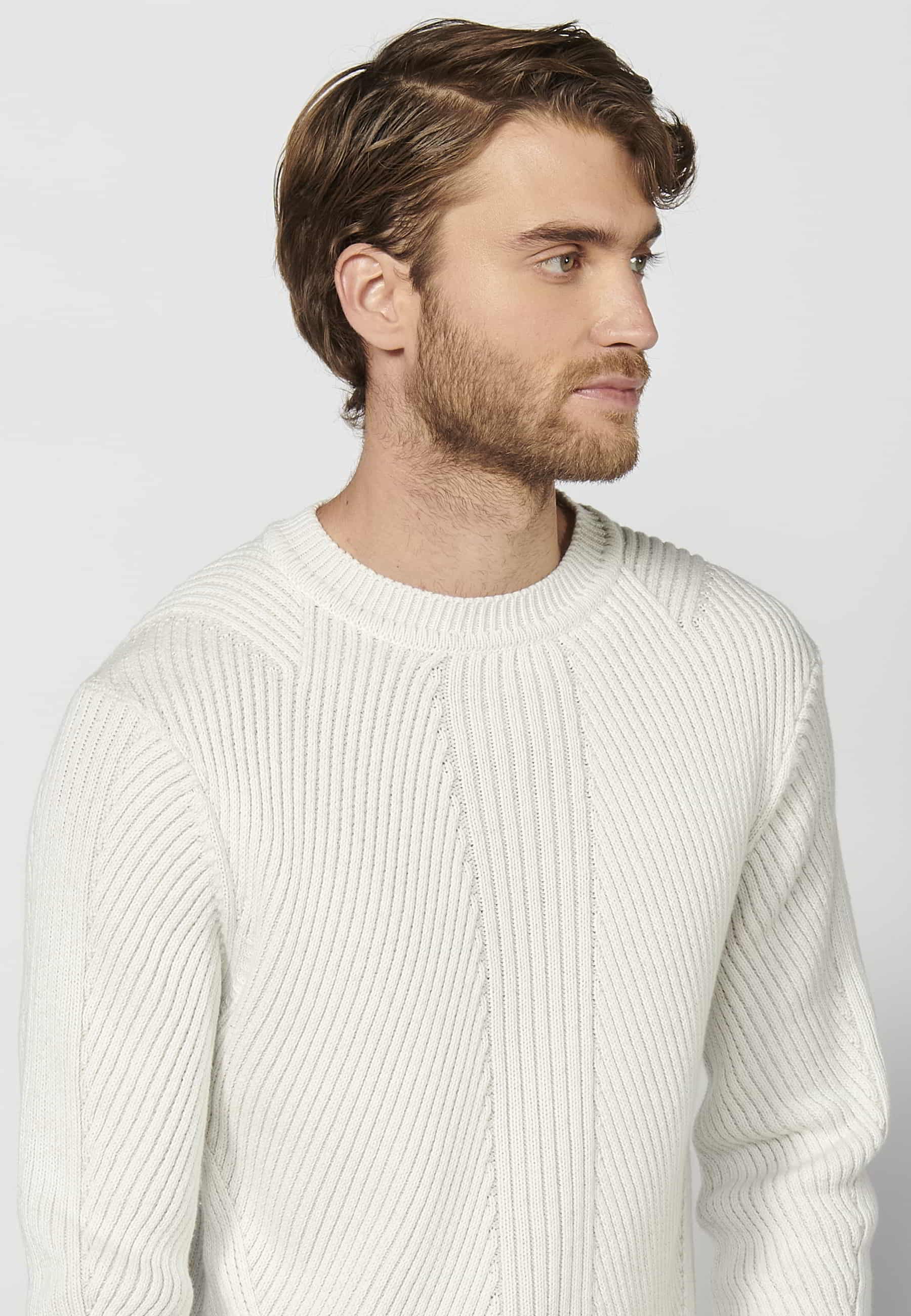 Pull tricoté homme écru col rond manches longues