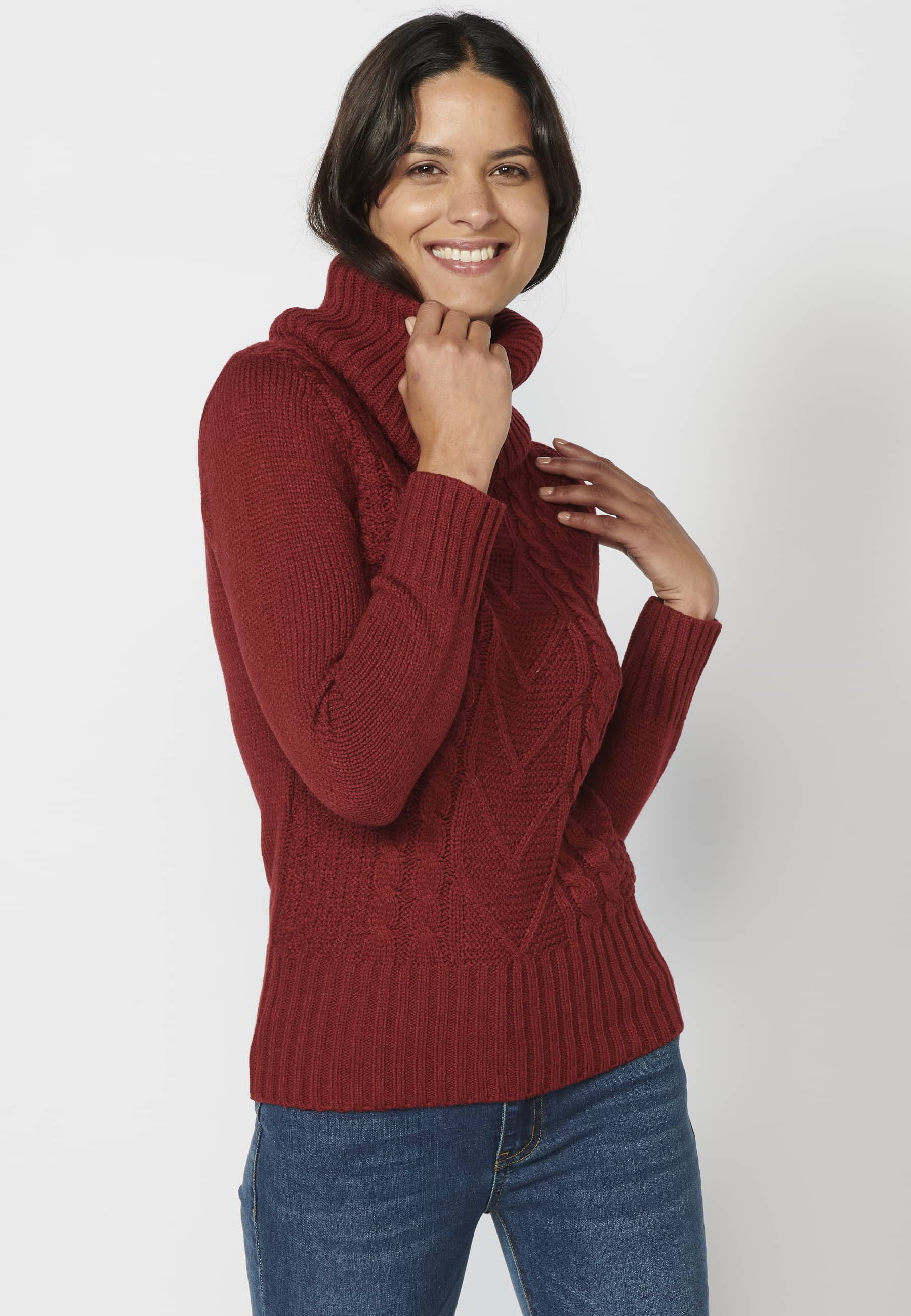 Pull bordeaux à col roulé et manches longues pour femme