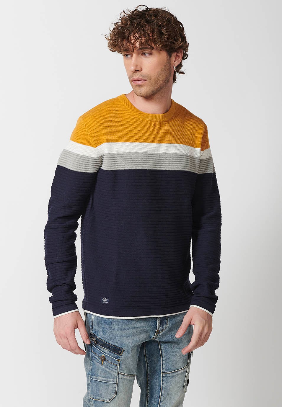 Pull homme tricot col rond rayé multicolore 1