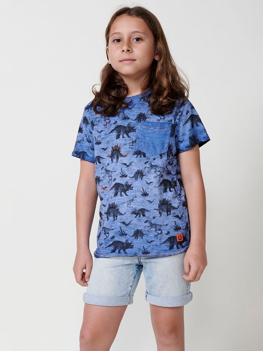 Camiseta de Manga Corta con Estampado Frontal en Color Azul para Niño